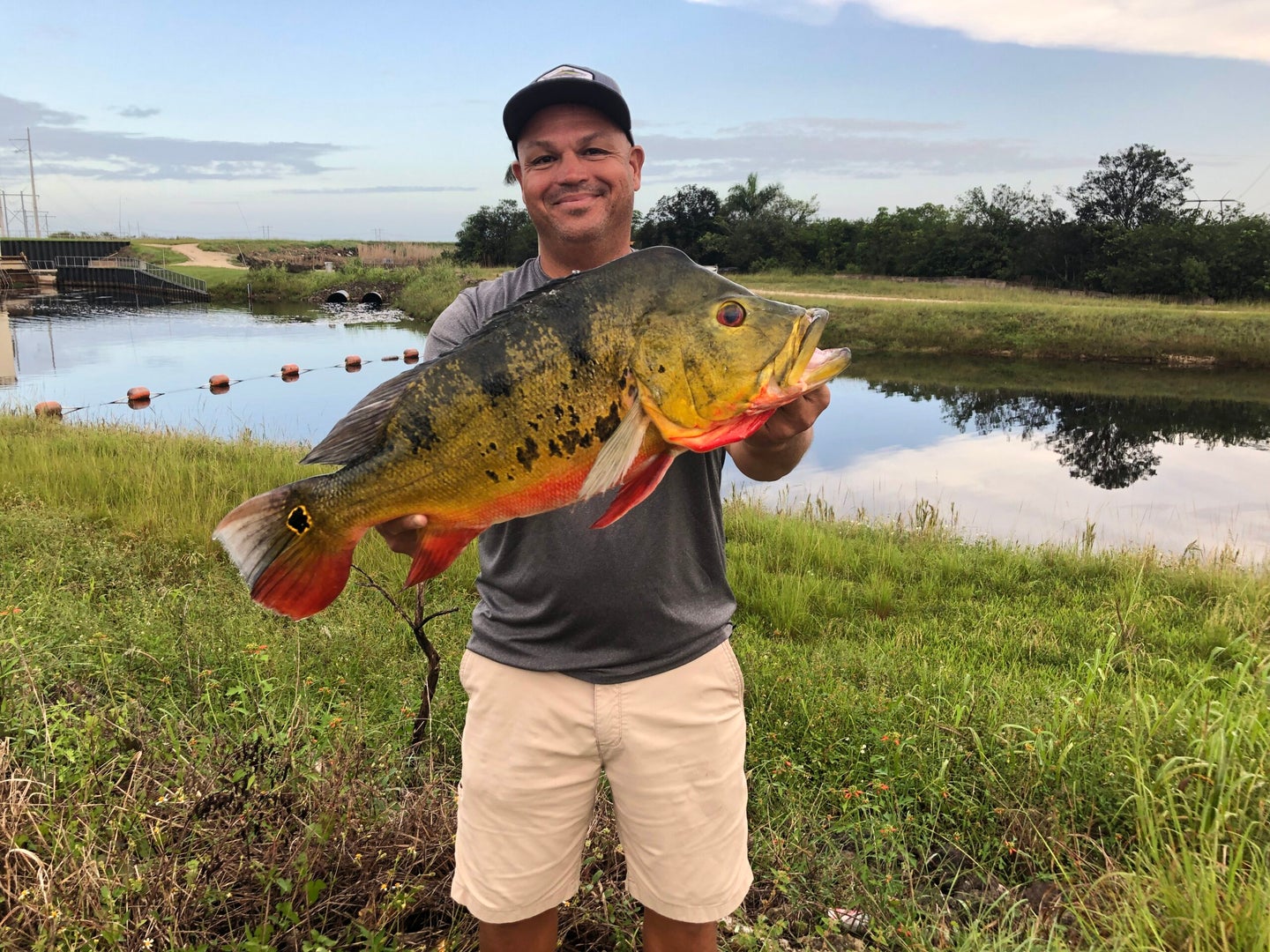 man holds large peacock bass