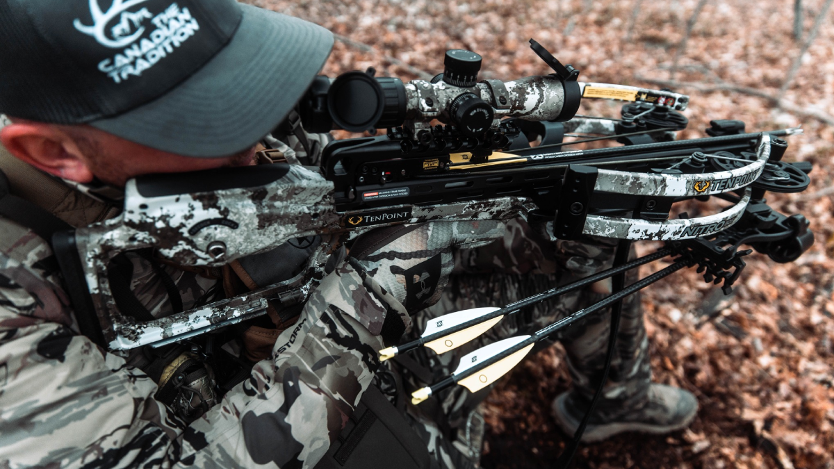 Best Crossbows for the Money: TenPoint Crossbow