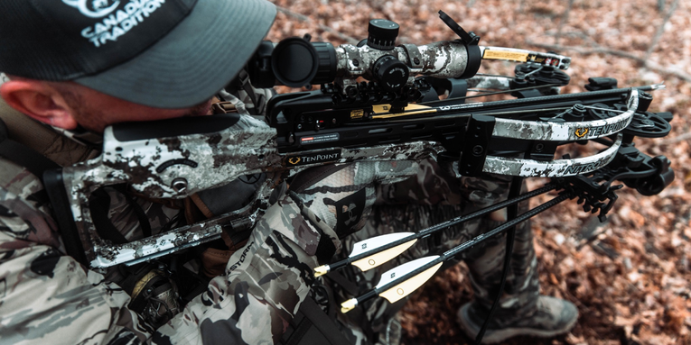 Best Crossbows for the Money of 2024