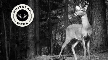 My First Deer: The Buck that Made Me a Hunter