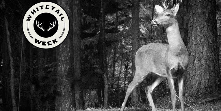 My First Deer: The Buck that Made Me a Hunter