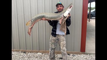 Angler Lands First Alligator Gar Ever Caught in Kansas