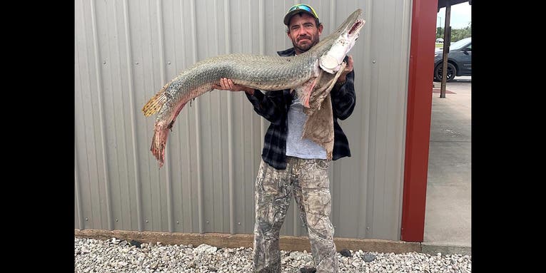 Angler Lands First Alligator Gar Ever Caught in Kansas
