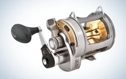 Shimano Tyrnos is the best fishing reel for saltwater.