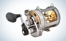 Shimano Tyrnos is the best fishing reel for saltwater.