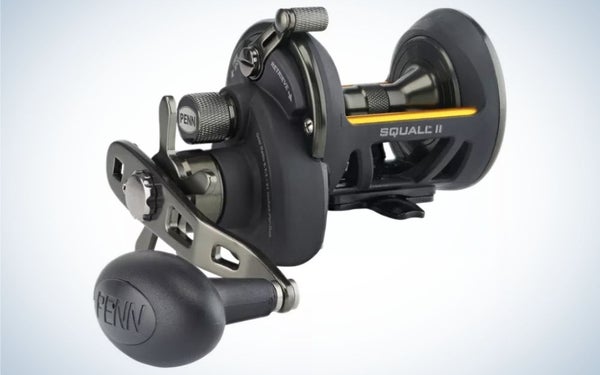 Penn Squall II is the best fishing reel for saltwater.
