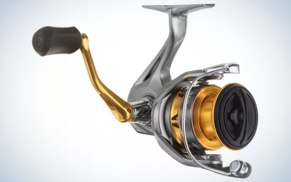 Shimano Sedona FL is the best fishing reel for saltwater.