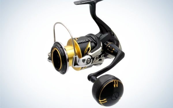 Shimano Stella SW is the best fishing reel for saltwater.