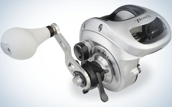Shimano Tranx 500 is the best fishing reel for saltwater.