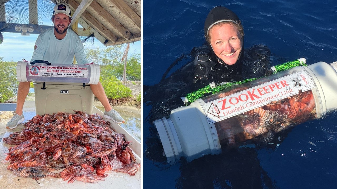 left: man sits on cooler with many dead lionfish. Right: Female diver with plastic tube filled with lionfish