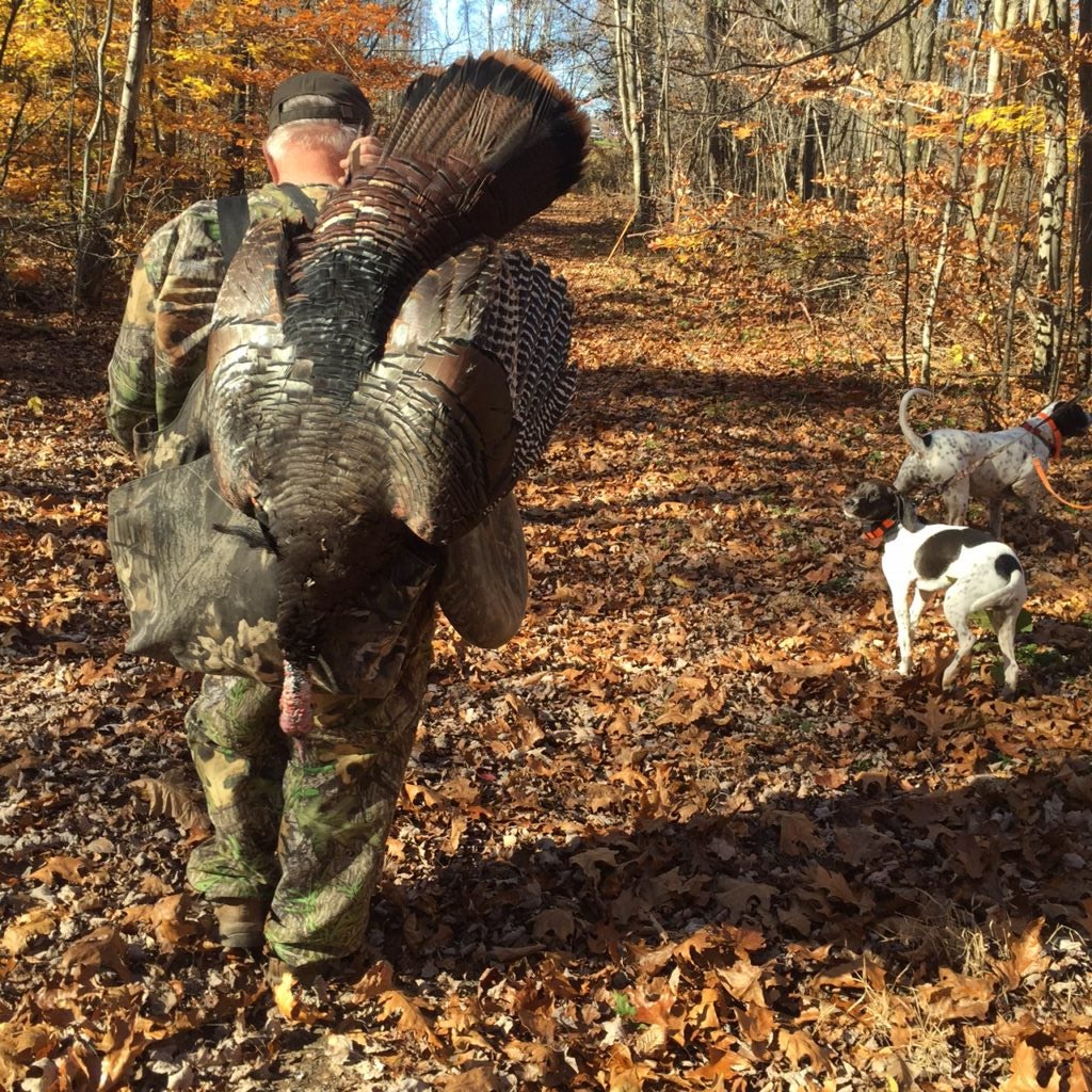 Turkey hunter with dogs in the fall