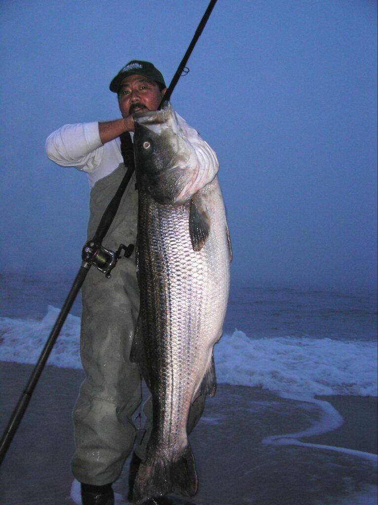 Bass caught with the best surf fishing rod