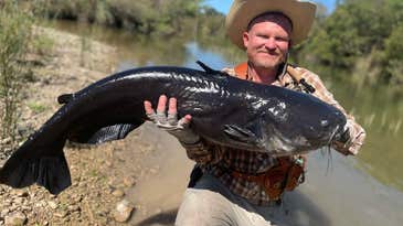Texas Angler Lands Potential World-Record Catfish On Fly Rod