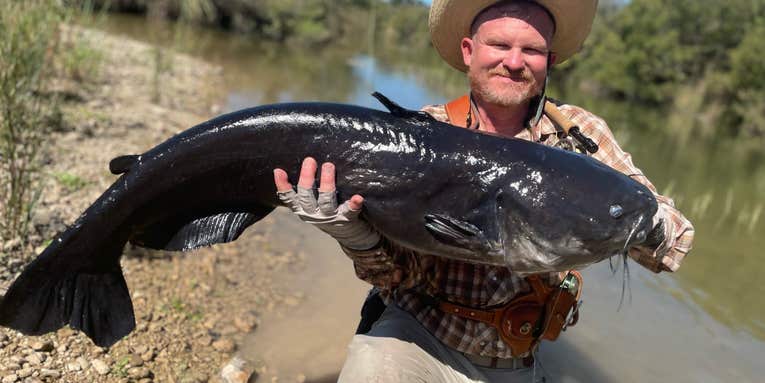 Texas Angler Lands Potential World-Record Catfish On Fly Rod
