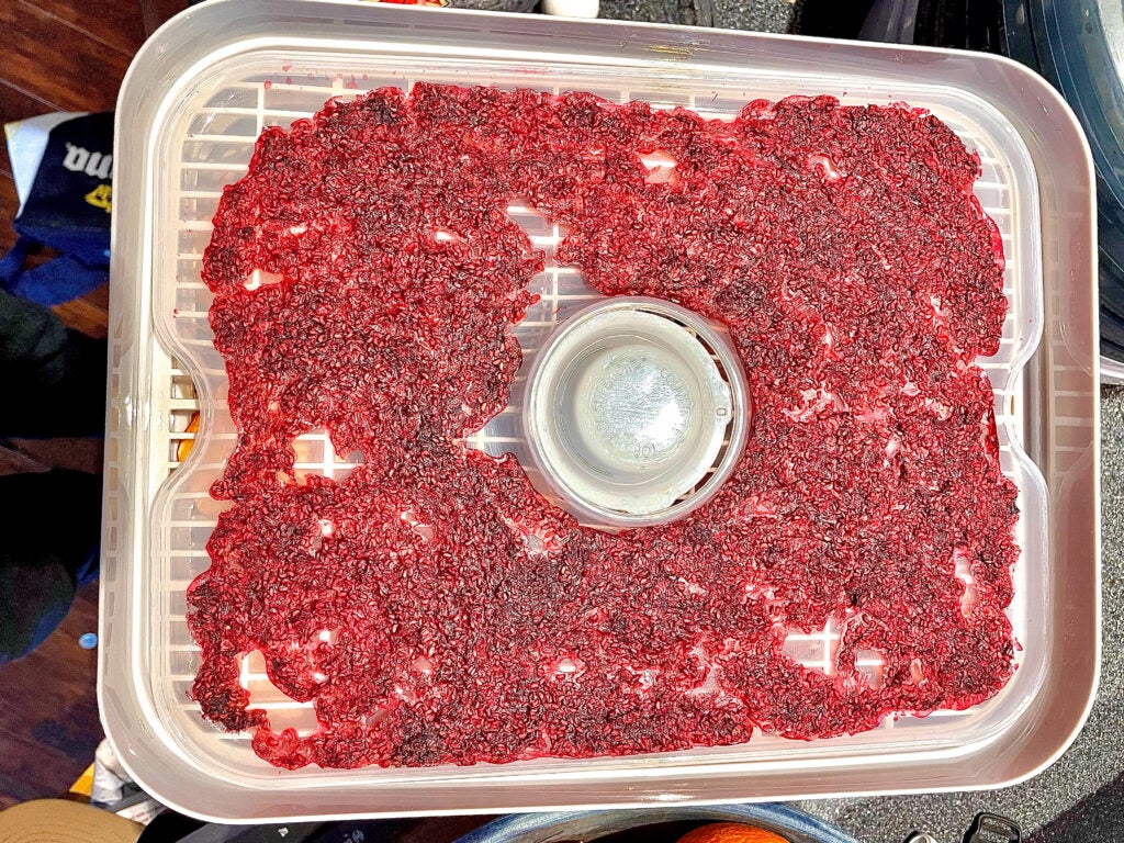 cooking berries in a dehydrator