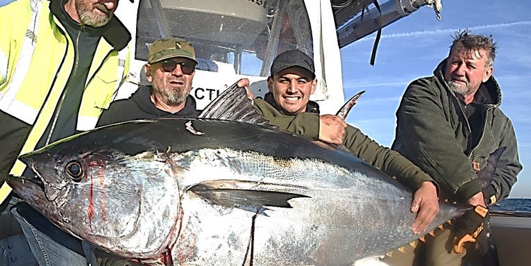Giant Bluefin Blitz Has NYC Anglers Hoping for More