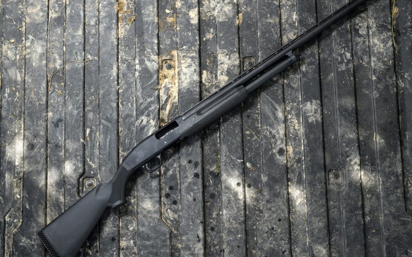 The Mossberg 500 is one of the best bargain shotguns ever made