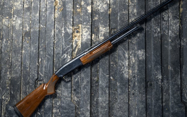 The Browning BPS is a solid duck hunting shotgun