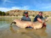 two men hold massive catfish above muddy water