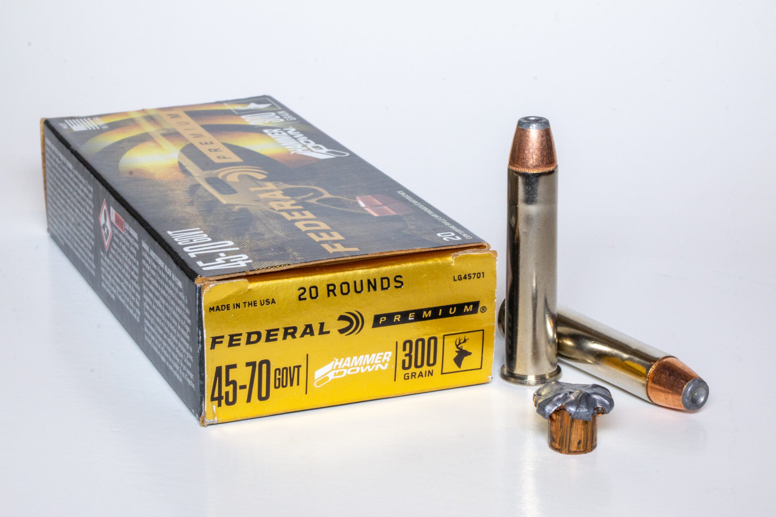 photo of .45/70 cartridge