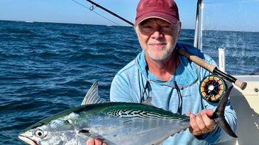 man holding a false albacore with a fly rod over his shoulder.