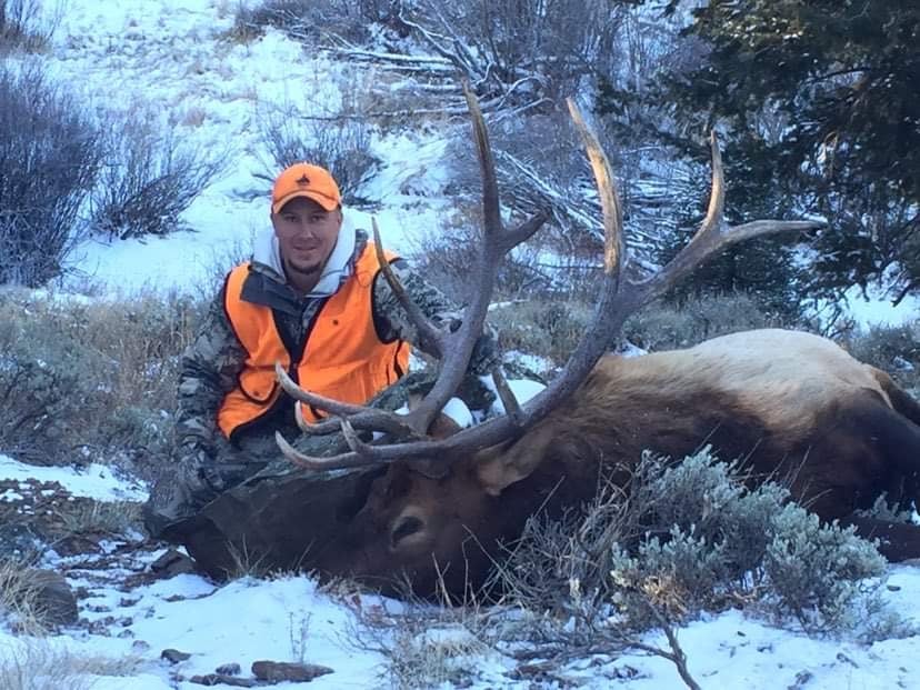 hunter with bull elk