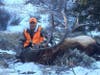 hunter with bull elk