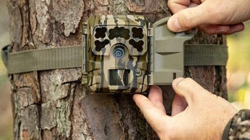 The 7 Best Trail Cameras of 2024, Tested and Reviewed