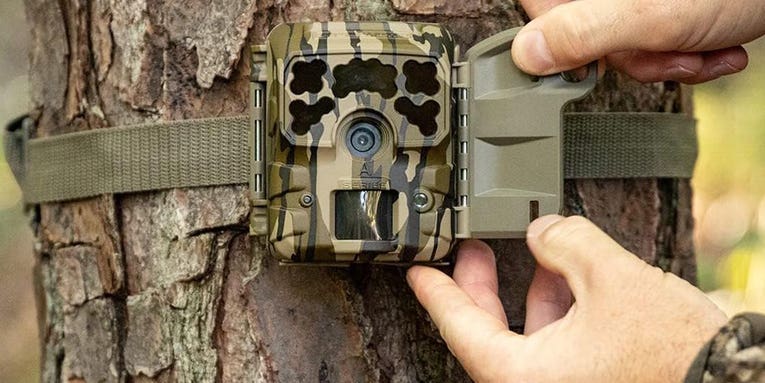 The 7 Best Trail Cameras of 2024, Tested and Reviewed