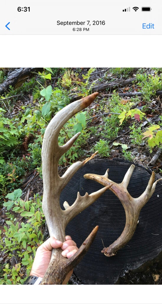 Massachusetts Hunter Takes Massive Public Land Buck He’s Dogged for 6 Years