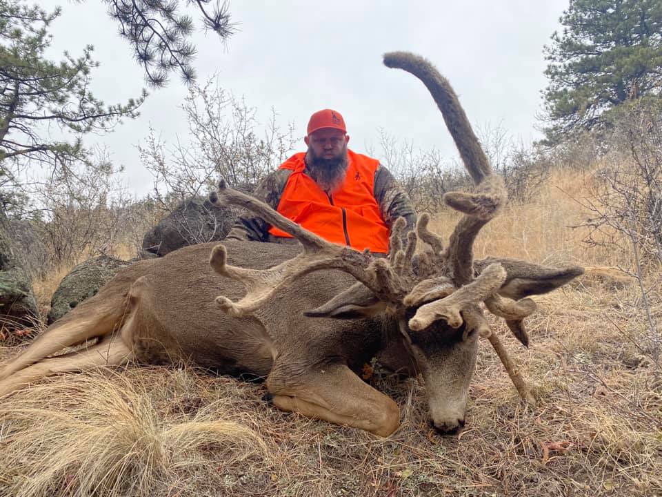 man in hunter orange sits behind dead deer with velvet antlers