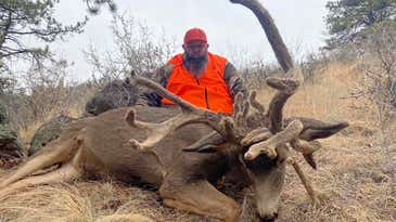 Hunter Downs Gnarly 26-Point, 235-Inch Cactus Buck with Corkscrew Drop-Tine