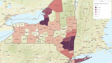 Severe EHD Outbreak Continues to Hammer New York State Deer