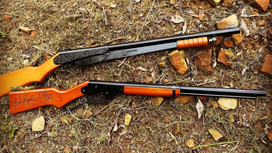 The 5 Best BB Guns for Hunting and Training