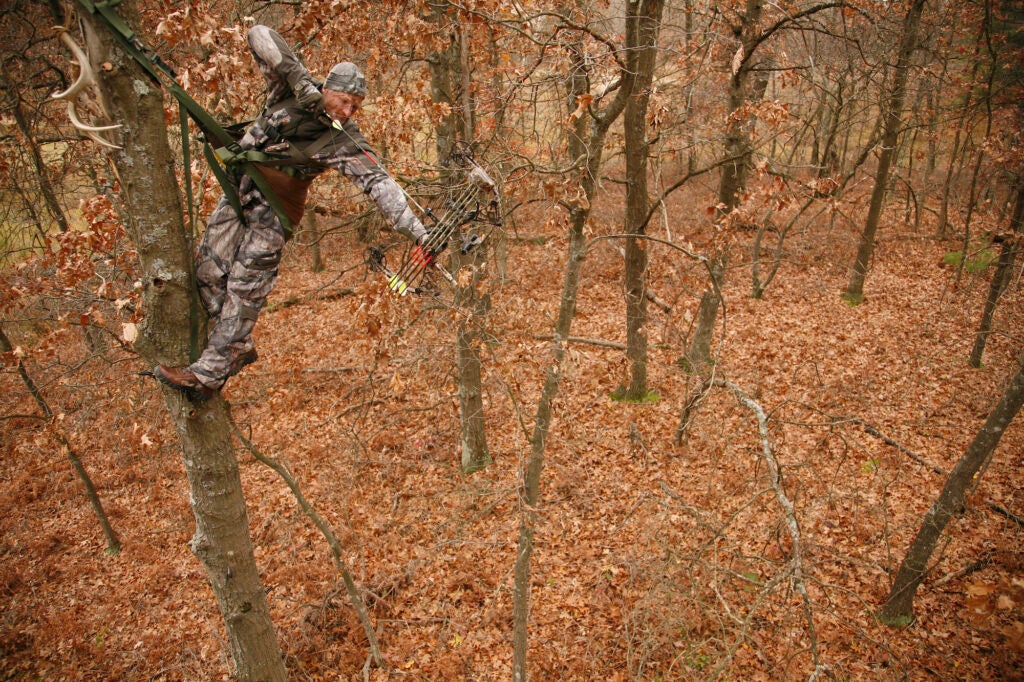 Deer hunter hanging from a tree saddle.
