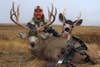 hunter with mule deer buck