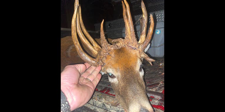 Virginia Hunter’s 20-Point “Buck” Turns Out to Be a Doe
