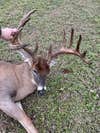 What a buck!