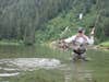 Fly fisherman catching a fish in a lake.