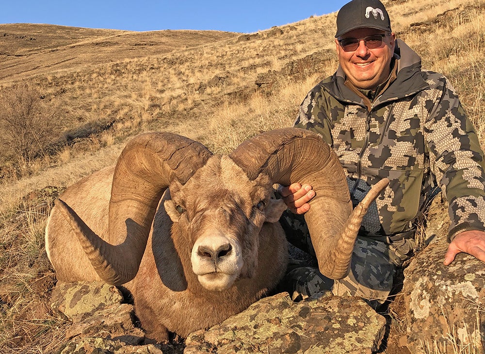 man sits next to bighorn sheep with massive horns