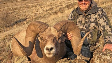 Boone and Crockett Club to Verify Washington State Record Bighorn Sheep