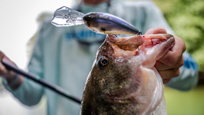 The Best Crankbaits for Fishing Any Water Depth