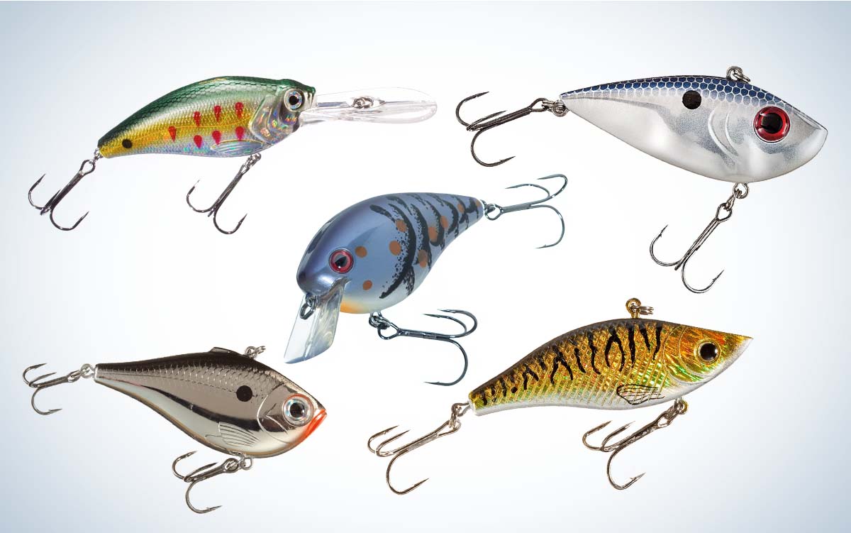 collage of the best crankbaits of 2022, Field & Stream