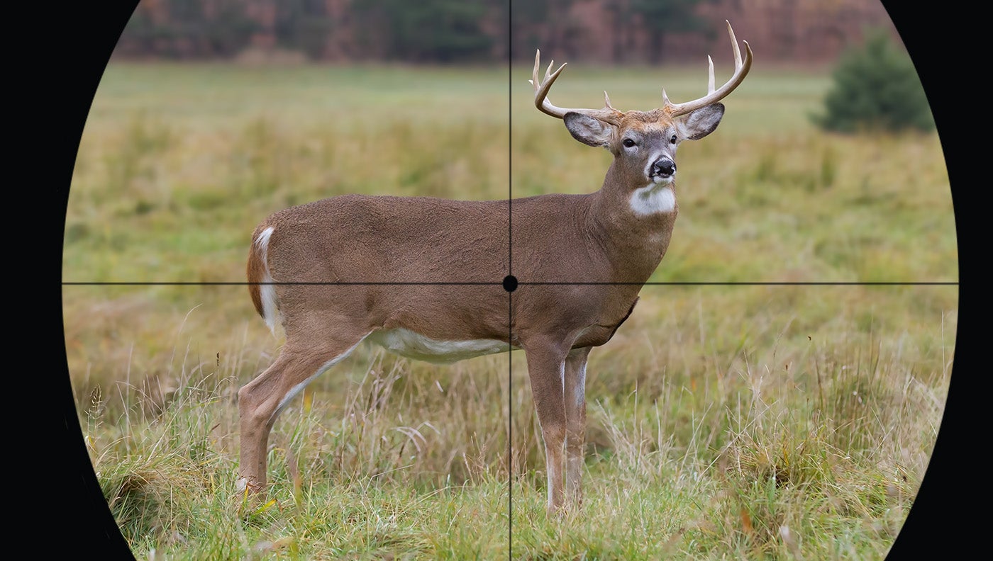 whitetail deer with crosshairs