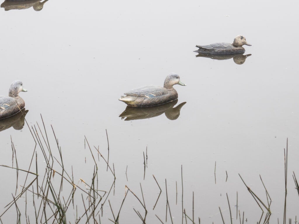two decoys floating in the water.