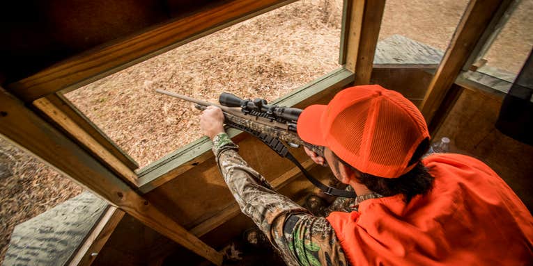 The 5 Biggest Reasons Why You Miss Deer