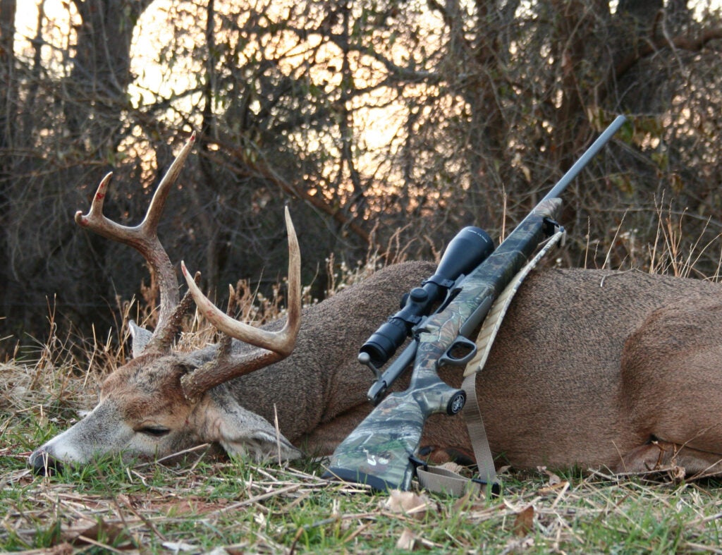buck whitetail with rifle