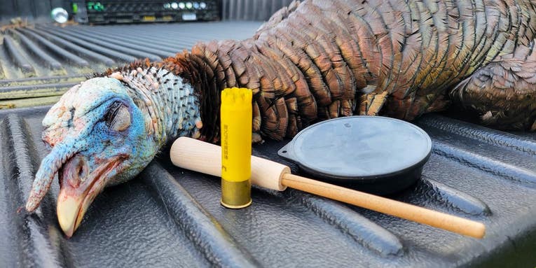 The 8 Best Turkey Calls of 2024, Tested and Reviewed