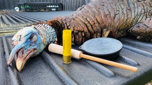 The 8 Best Turkey Calls of 2024, Tested and Reviewed