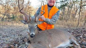 Rare 16-Point Hermaphroditic Deer Killed in Missouri